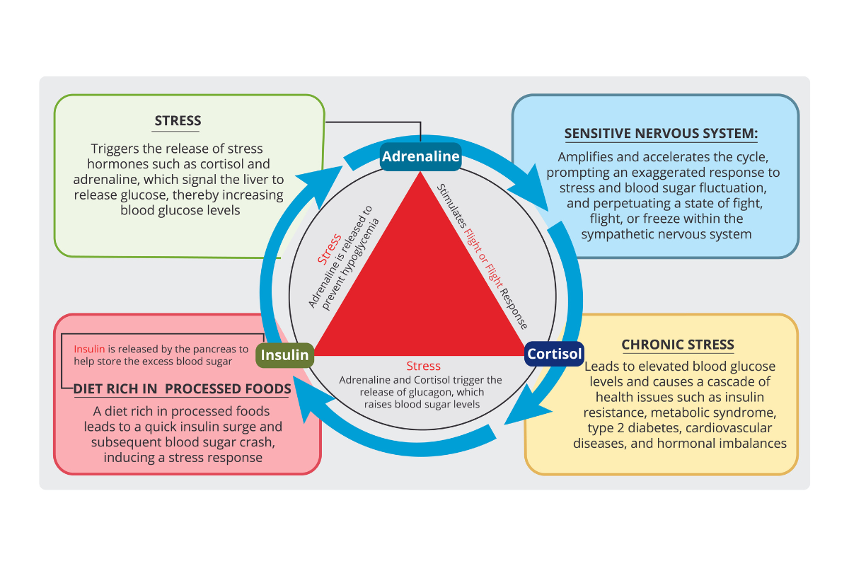 The Unseen Cycle of Weight Loss