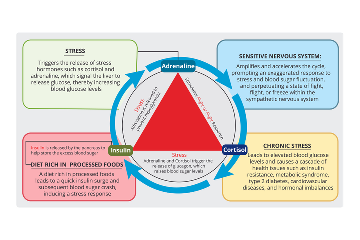 The Trifecta Cycle© 2024 Nate Ortiz. All rights reserved.